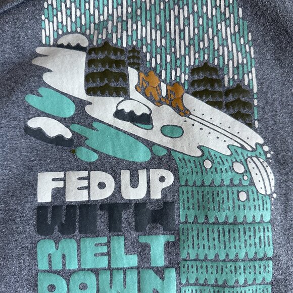 Patagonia Hoodie Fed Up with Melt Down sz Small - Picture 2 of 7